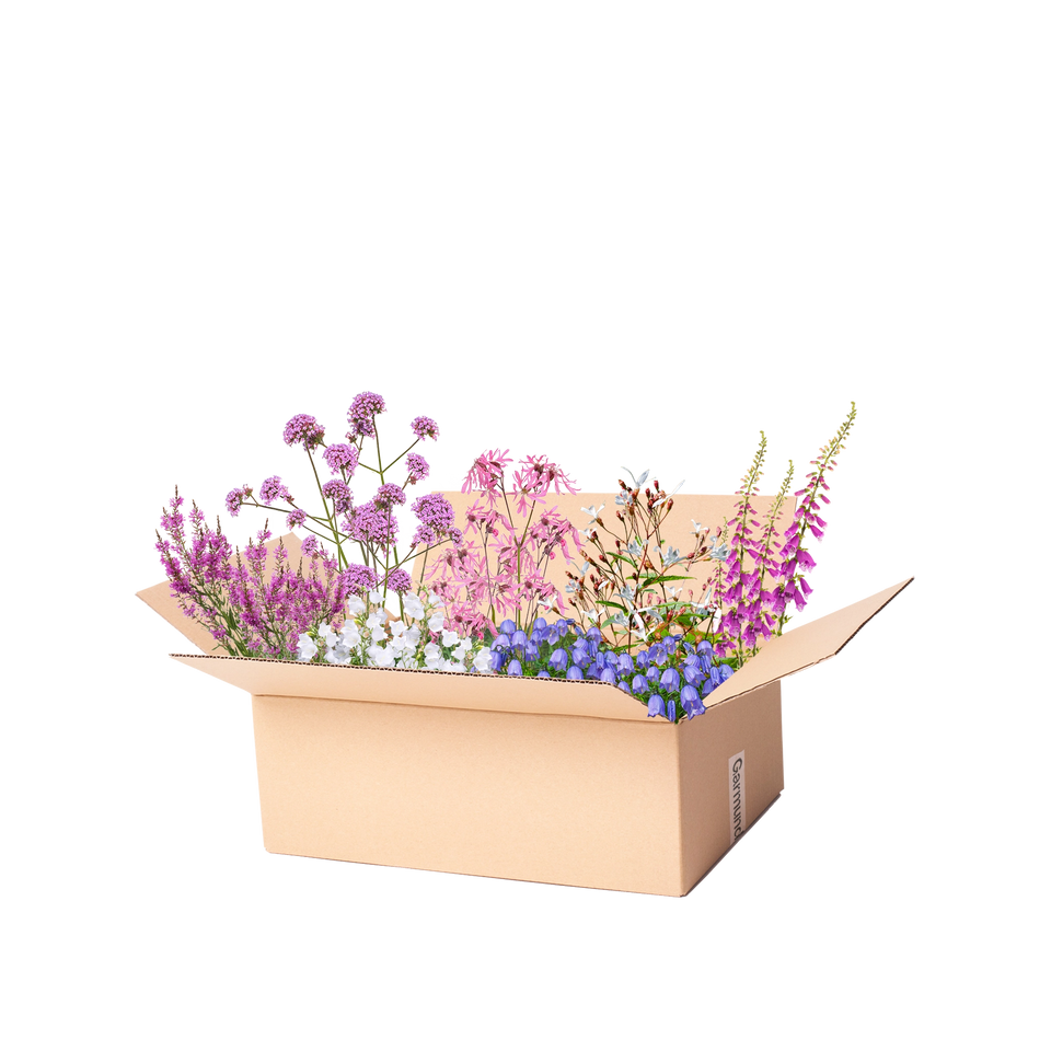 Borderpakket verwildert